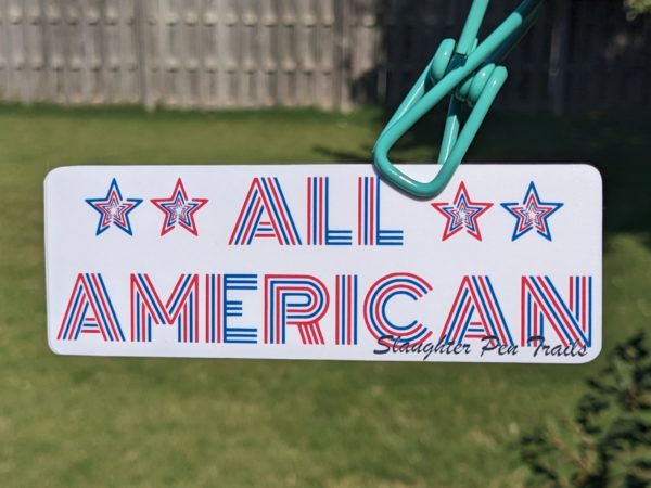 All American Trail sticker